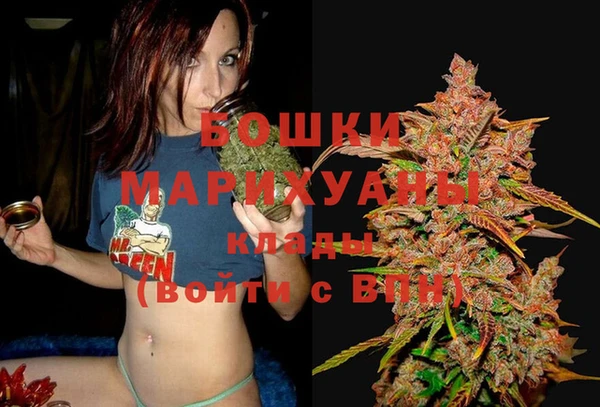 дживик Балахна
