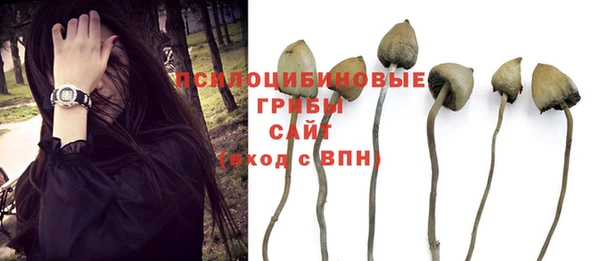 дживик Балахна