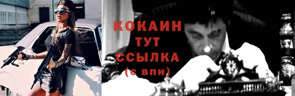 дживик Балахна