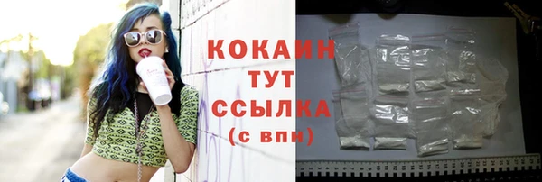 дживик Балахна