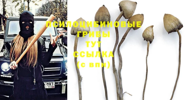 дживик Балахна
