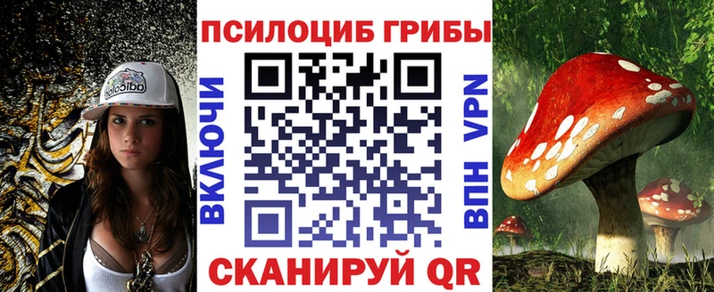 Псилоцибиновые грибы мицелий  Ессентуки 