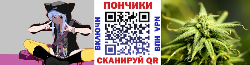 купить наркотики сайты  Ессентуки  Бошки марихуана индика 